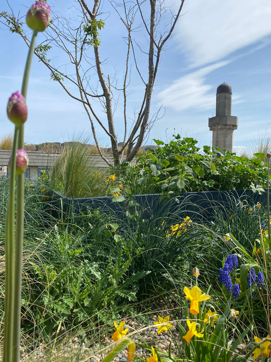 Edinburgh University Tuesdays - 8.15 and 12 (free for staff)