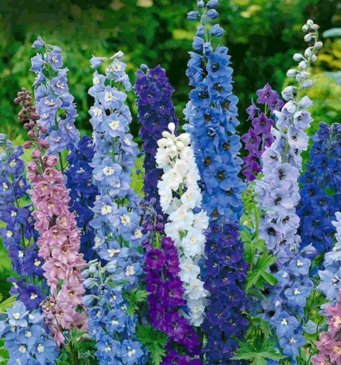 NOVEMBER'S MONTHLY RESTORATIVE YOGA - ONLINE- 21st November at 8pm ✨