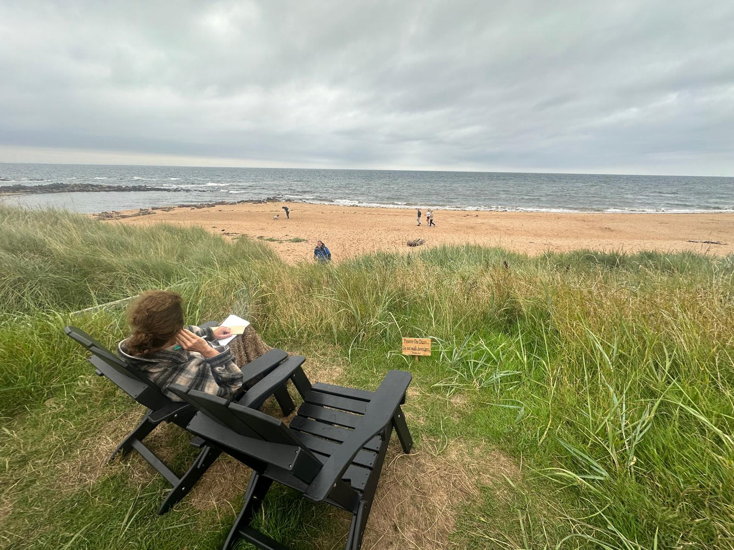 August Summer Morning Meditations 4 Free Guided Meditations in August with Naomi