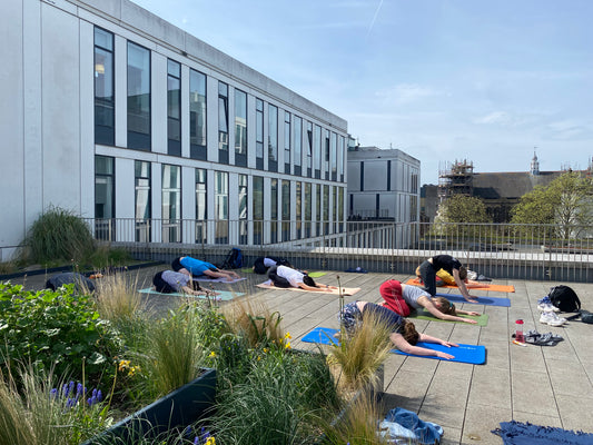 Edinburgh University Tuesdays - 8.15 and 12 (free for staff)