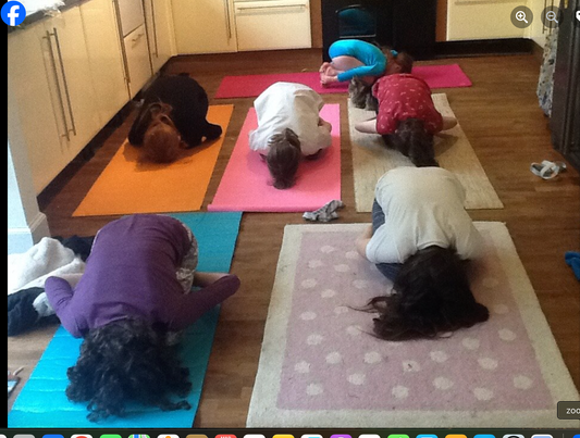 MONTHLY NEW MOON RESTORATIVE YOGA - ONLINE- MAY 30th