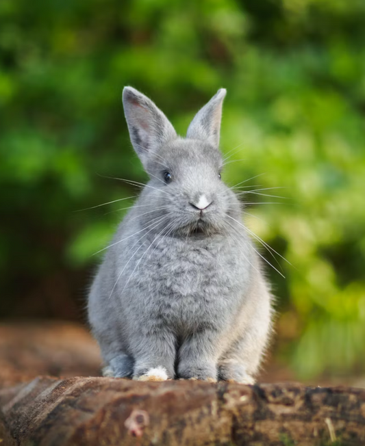 FEEL GOOD FRIDAY - GOOD FRIDAY 3 APRIL YOGA CLASS - Online